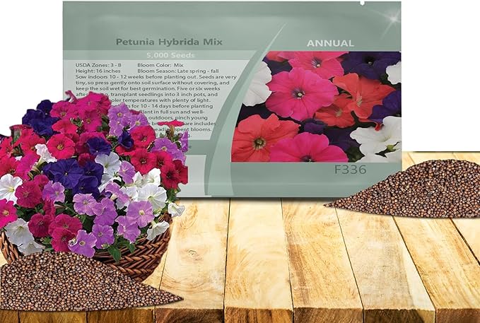Outsidepride Hybrida Mix Petunia Seeds - 5000 Pcs. Annual, Compact & Versatile Flower Seeds for Planting Low Growing Vibrant Blooms, Ideal for Garden Beds, Hanging Baskets & Container Displays