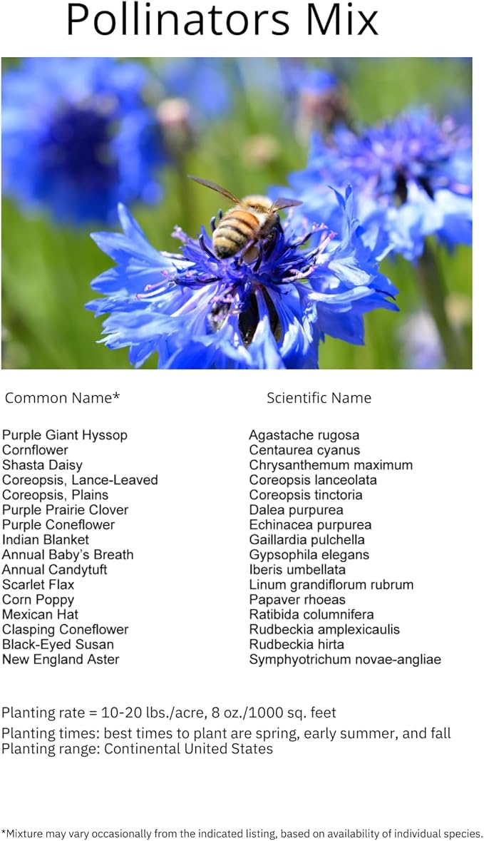 Bumblebee Pollination Bulk Wildflower Seed Mix 1lb Covers 2,000sq-ft - Attract Bumblebees, Multi-Color Blooms - Plant in U.S. in Spring/Summer/Fall - Earth-Friendly Packaging (1/2 Pound)