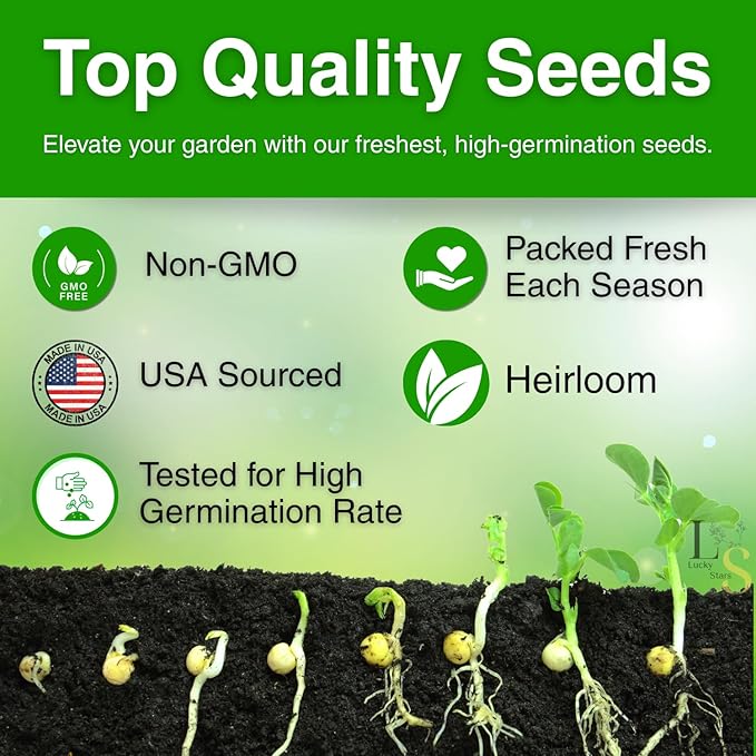 2000 Vietnamese Perilla Seeds - La Tia to - AKA. Shiso Seeds, Perilla Frutescens, Beefsteak Plant, Asian Mint Thai Basil Seeds, Asian Herb, Microgreens/Micro Herbs, Heat & Drought Tolerant