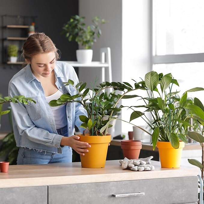 Honeydak 18 Pack Monstera Plant Support Plant Support Stakes for Indoor Plants Stackable Monstera Climbing Sticks with Orchid Clips Twist Ties for Potted Tomato Pothos Philodendron