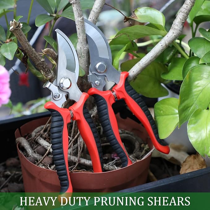 6 Pcs Garden Bypass Pruning Shears Bulk Heavy Duty Gardening Scissors Stainless Steel Blades Gardening Shears Handheld Garden Pruners Manual Plant Clipper for Flower Trimming Secateurs Tool 7.48 Inch