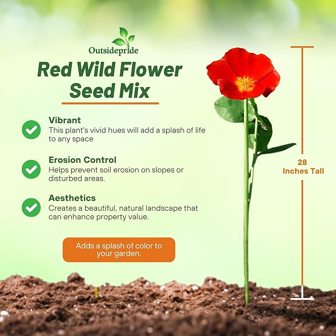 Outsidepride Red Color Shades Mix Wildflower Seeds - 10000 Pcs Annual Easy to Grow, Low Maintenance, Self-Seeding Flower Seeds w/Vibrant Blooms for Pollinator-Friendly Gardens, Containers & Borders