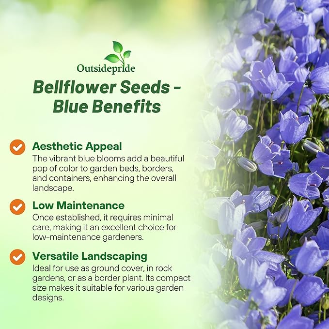 Outsidepride Carpatica Blue Bellflower Seeds for Planting - 5000 Pcs Perennial Mat-Forming Flower Seeds with Bell Shaped Blooms & Low Growth Habit for Edging Pollinator Gardens, Containers, & Borders