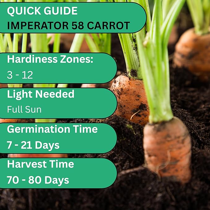 Woods Creek Seeds: Imperator 58 Carrot Seeds for Planting - Over 1,000 Heirloom Carrot Seed Pack - Non-GMO Carrots Seeds for Planting Outdoors or Indoors - Beginner Friendly Vegetable Gardening