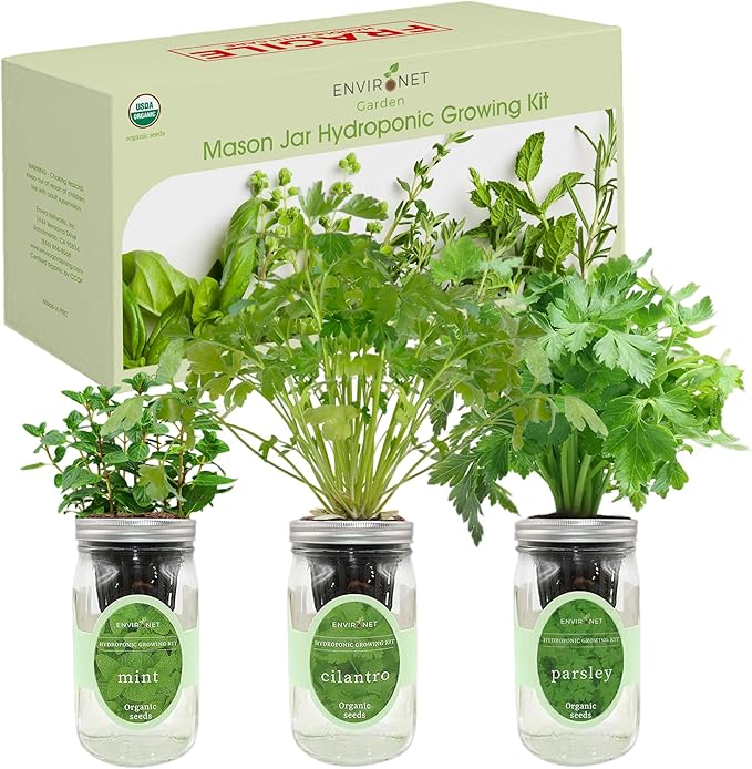 Hydroponic Herb Growing Kit Set, Self-Watering Mason Jar Herb Garden Starter Kit Indoor, Windowsill Herbs Garden, Grow Your Own Herbs from Organic Seeds (Mint, Cilantro and Parsley)