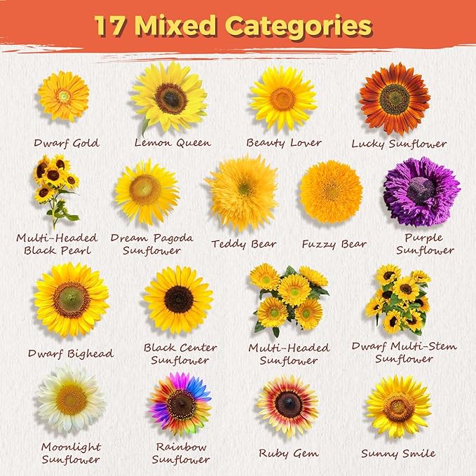 Sunflower Seeds for Planting | 3000+ Giant Mammoth Heirloom Bulk Seeds in 2oz Packet | High Germination, Open Pollinated, Attracts Pollinators for Home & Outdoor Gardens