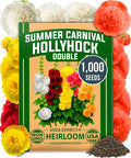 HOME GROWN Hollyhock Summer Carnival Mix Flower Seeds – Alcea Rosea, Premium Annual Flower Seeds, 1000 Seeds for Planting Flowers, High-Germination Flower Seed Bulk Pack