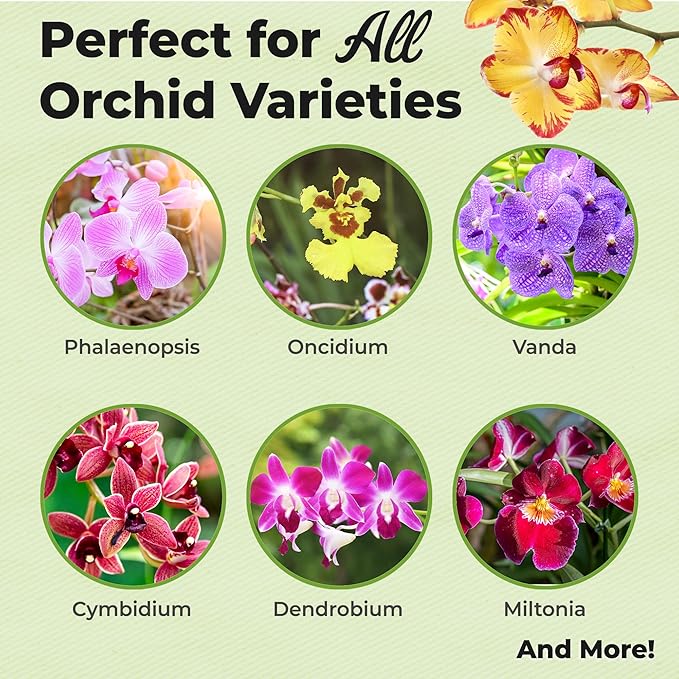 Orchid Fertilizer Mist by Perfect Plants | Foliar Food Spray & Bloom Booster for Indoor Orchids | Plant nutrients for Repeat Blooming (8 fl oz)