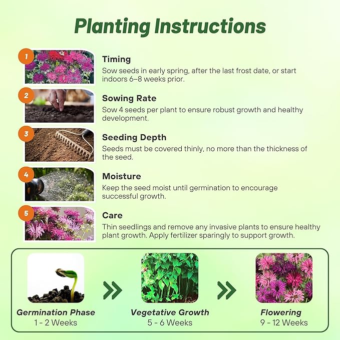 Outsidepride Bee Balm Mix Seeds - 500 Pcs Perennial, Easy to Grow & Pollinator Friendly Monarda Didyma Flower Seeds for Planting Mint Scented Leaves & Edible Blooms, Ideal for Teas & Potpourri