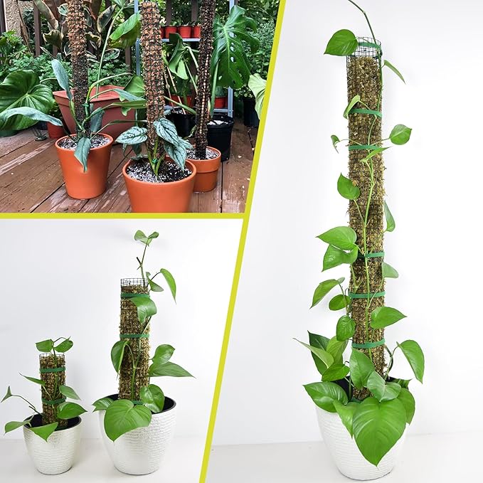 2 Pack Metal Moss Pole,15" Moss Poles for Plants Monstera, Stackable Sphagnum Moss Pole for Plants,Plant Poles for Climbing Plants Work with Sphagnum Moss(2 Pack 15")