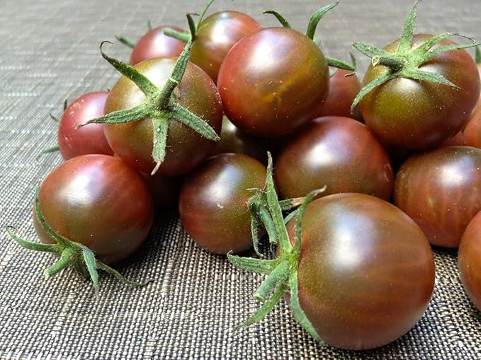 Seeds Vegetable Black Cherry Tomato Heirloom for Planting Non GMO - 25 Seeds