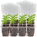 MIXC 360 Cells Seedling Starter Trays Transparent Seed Tray Grow Germination Kit with 30 Plant Lables(1.5 inch x 12 Cells per Tray, 30 Trays)