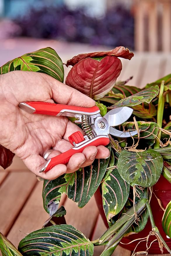 Corona Tools Flower, Branch & Stem 3 Piece Set