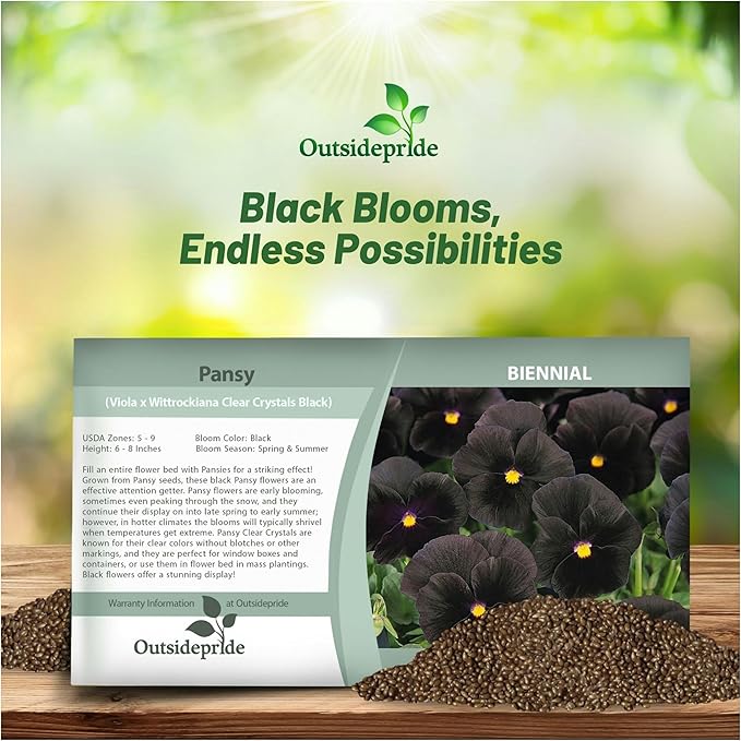 Outsidepride Black Viola Pansy Seeds for Planting - 1,000 Pcs. Biennials, Trailing, Cold-Hardy & Pollinator Friendly Flowers with Fragrant Blooms for Garden Beds, Borders & Container Displays