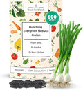 Woods Creek Seeds: Bunching Evergreen Nebuka White Onion Seeds for Planting - Heirloom Green Onion Seeds for Planting - Non-GMO Heirloom Seed Pack of Crisp Onions for Outdoors and Home Gardening