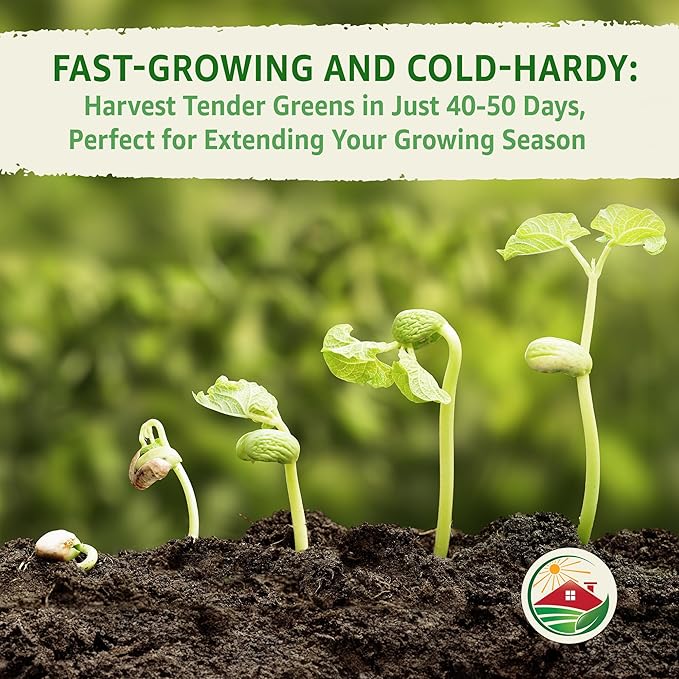TKE Farms & Gardens - Lacinato Kale Seeds for Planting, 2 Grams, 500+ Heirloom Non-GMO Seeds - Dinosaur Kale, Tuscan Kale, Cold Hardy Superfood for Traditional & Urban Gardens