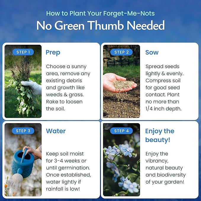 Created by Nature Forget Me Not Seeds, 5,000 Blue Biennial Wildflower Seeds