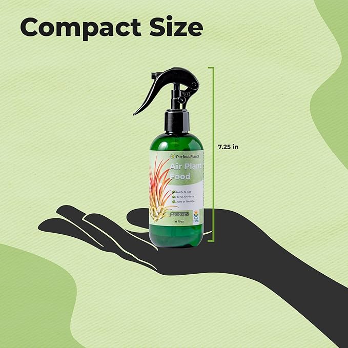 Air Plant Fertilizer Spray by Perfect Plants | Best Ready to Use Food Mist to Grow Large Tillandsia and Other Live Indoor Bromeliad Airplants (8 fl oz)