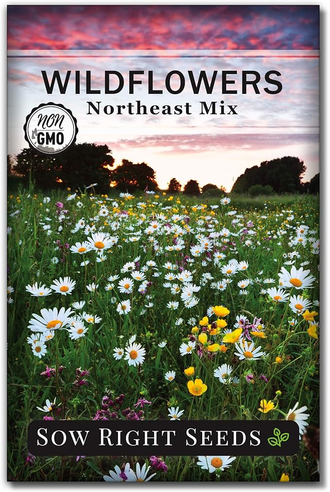 Sow Right Seeds - Wildflowers Seeds Mix for Planting in Northeast - Non-GMO Heirloom Varieties to Grow a Wild Flower Garden - Perennial and Annual Flowers to Attract Pollinators - Colorful Blooms (1)