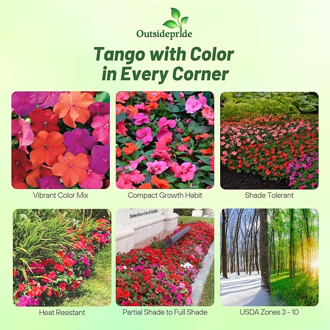 Outsidepride Xtreme Tango Mix Impatiens Flower Seeds - 200 Pcs Annual, Compact & Pollinator Friendly, Impatiens Seeds for Planting w/Vibrant, Abundant Blooms for Shade Gardens & Container Displays