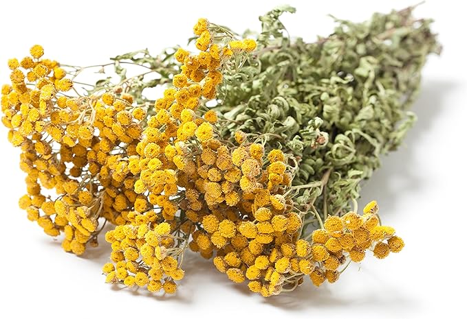 Organic Tansy Seeds (Tanacetum vulgare) 500 Seeds (0.1 Grams)