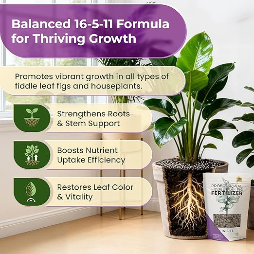 Fiddle Leaf Fig and House Plant Fertilizer Pellets |16-5-11 Slow Release Pellets for Seedlings and Mature Houseplants | Multi-Purpose Blend & Gardening Supplies| 5.2 oz Resealable Packaging