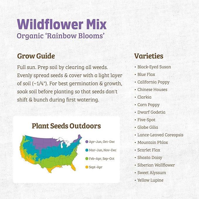 Back to The Roots 100% Organic Seed Packet - Wildflower 'Rainbow Blooms' Mix