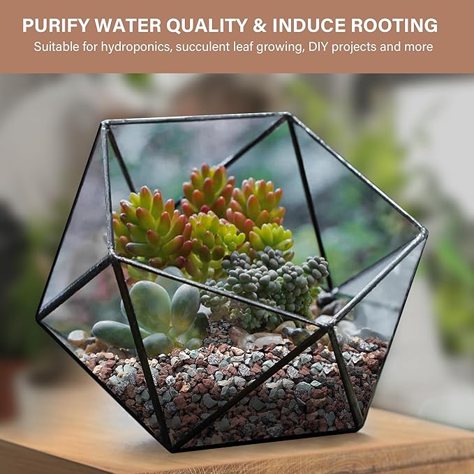 NUPICK 20lb Mix Horticultural Lava Rocks for Plants, 3/8" Colorful Succulent Potting Soil Amendments, Decorative Gravel for Cactus, Bonsai Gritty Rock, Pebbles Pumice for Vase Fillers, Top Dressing