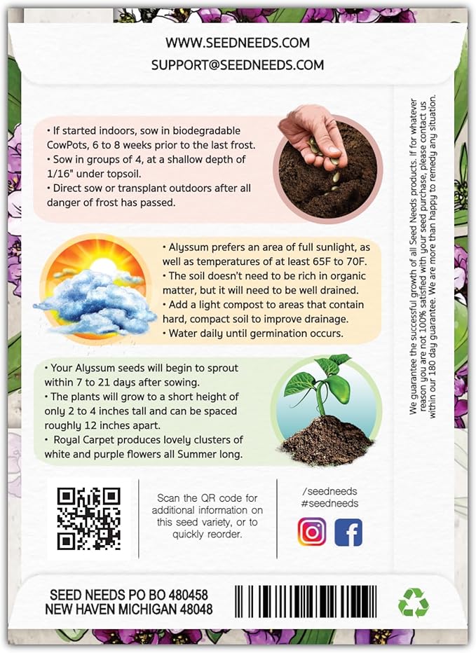 Seed Needs Royal Carpet Alyssum Seeds for Planting - Heirloom & Untreated - Tender Perennial Flowers to Attract Pollinators to Rock Gardens, Pots, Containers & Window Boxes (1 Pack)