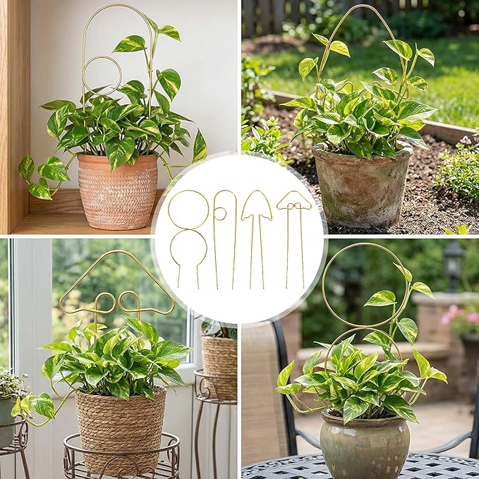 4 Pcs Small Plant Trellis Indoor for Climbing Plants, Metal Small Trellis for Potted Plants Vine Ivy Flower Plant Climber Support, 4 Different Gold Iron Patterns