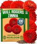 HOME GROWN Will Rogers Zinnia Seeds - 300 Zinnia Flower Seeds for Planting Outdoors - Tall Zinnia Elegans Cut Flowers - Heirloom Non-GMO Zinnia Seeds for 2026 (Zinnia Elegans)