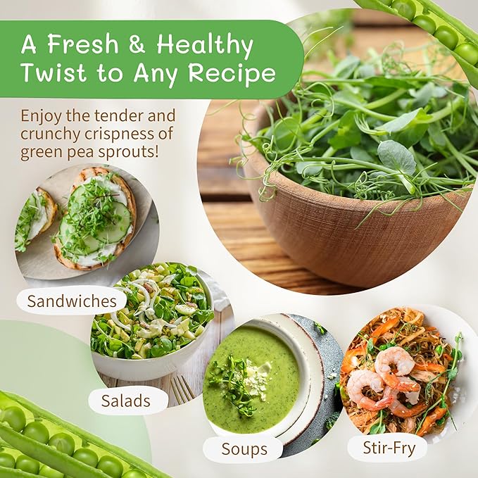 The Sprout House Green Peas - Organic Green Peas for Sprouting or Cooking, High Germination, Non-GMO, Resealable Bag for Freshness, Perfect for Salads, Shoots, & Healthy Recipes, 1LB Green Pea Seeds