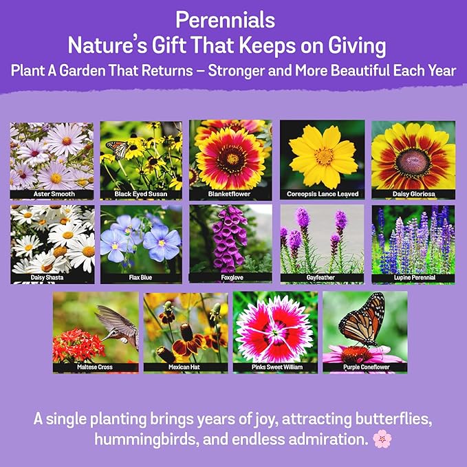 NatureZ Edge Wildflower Seeds, 1/2 lb, 340,000 Seed, 35 Variety Perennial & Annual Flower Seeds to Plant Outside, Bulk Wildflower Seed, Wild Flower, Semillas de Flores