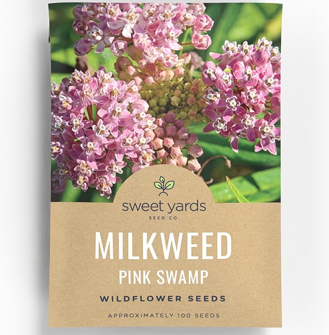Pink Swamp Milkweed - Large 600mg Envelope - 100 Flower Seeds for Planting - Asclepias incarnata