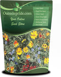 Outsidepride Gulf Coast Wildflower Seed Mix - 1 lb Perennial & Annual Wild Flowers for Full Sun & Partial Shade - Ideal for Pollinator Gardens & Vibrant Landscapes for Southern Florida & Texas