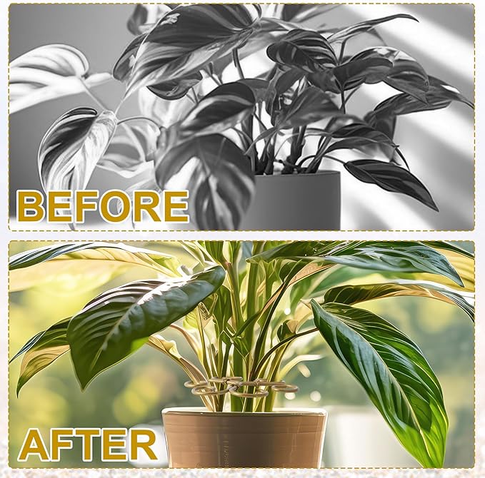 Climbing Houseplant Stem Supports, Plastic Plant Stem Holders, Reusable Flower Plant Growth Stakes Trellis Stem Growth Accessories for Garden Balcony- Gold