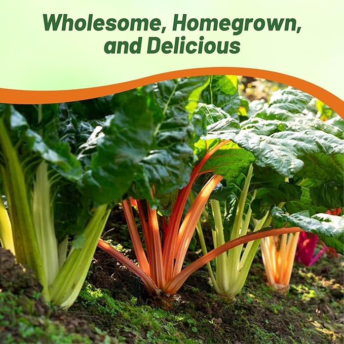 Outsidepride Mix Swiss Chard Seeds for Planting Vegetables & Microgreens - 2000 Pcs Vibrant, Tasty & Highly Nutritious Biennial Vegetable Seeds for Garden Beds, Borders, & Containers