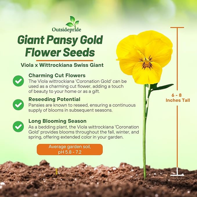 Outsidepride Swiss Giant Coronation Gold Viola Pansy Seeds for Planting - 2000 Pcs Biennial, Cold Hardy Flower Seeds for Containers, Baskets, Borders, & Pollinator-Friendly Gardens (AAS Winner)