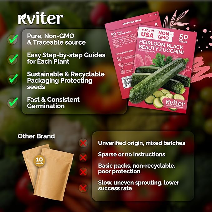 KVITER 50 Black Beauty Zucchini Summer Squash (Cucurbita Pepo) Seeds – High-Yielding Heirloom for Gardens and Beds – Dark Green Fruits, Tender Flesh, Excellent for Cooking