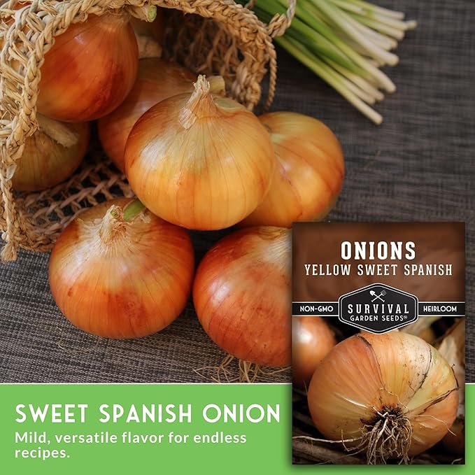 Yellow Sweet Spanish Onion Seeds for Planting – Large Mild Long Day Yellow Onions with High Yield & Sweet Flavor – Heirloom, Non-GMO, Open-Pollinated – Survival Garden Seeds (3 Packs)