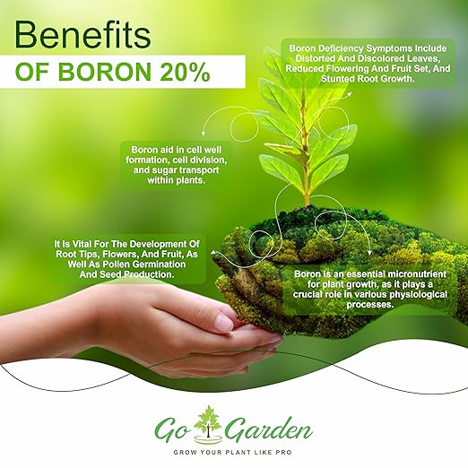 Go Garden Boron 20% Micronutrient Fertilizer - Boosts Vegetable Growth, 250g Powder Fertilizer for Plants