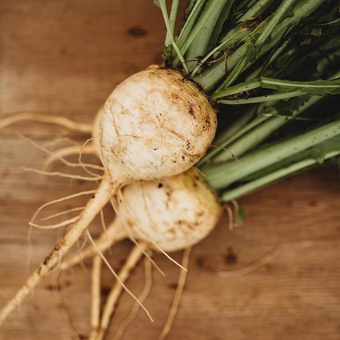 Gold Ball Turnip - 250 Seeds - Heirloom & Open-Pollinated Variety, Easy-to-Grow, Non-GMO Vegetable Seeds for Planting Outdoors in The Home Garden, Thresh Seed Company