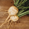 Gold Ball Turnip - 250 Seeds - Heirloom & Open-Pollinated Variety, Easy-to-Grow, Non-GMO Vegetable Seeds for Planting Outdoors in The Home Garden, Thresh Seed Company