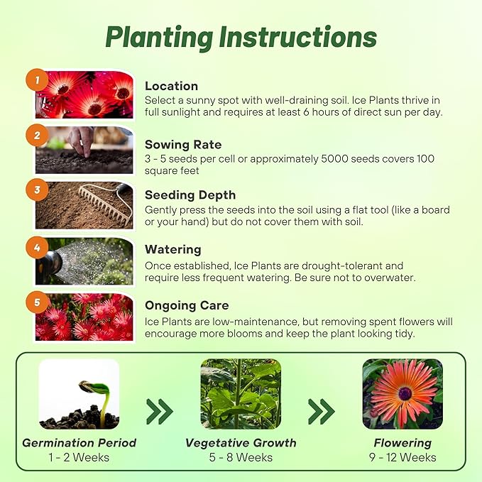 Outsidepride Gelato Red Ice Plant Seeds - 10000 Pcs Perennial, Drought Tolerant Ground Cover Seeds for Planting Vibrant Trailing Blooms, Ideal for Sunny Gardens & Xeriscape Landscaping