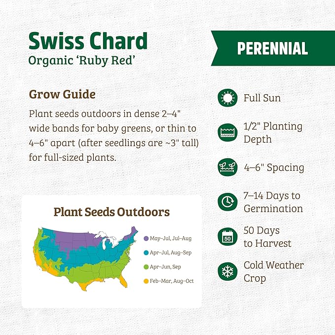 Back to The Roots 100% Organic Seed Packet - Swiss Chard 'Ruby Red' 210mg