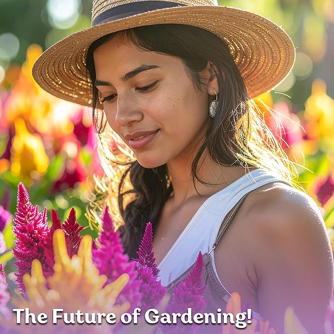 KVITER 500 Mixed Pampas Plume Seeds for Planting (Celosia plumosa) – Celosia Flower Seeds, Silver Plumes Cockscomb – Non GMO Full Sun Flower Seed Packets for Home Garden, Containers, Flowers Beds