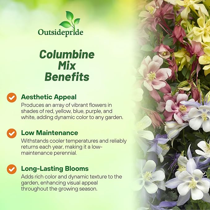Outsidepride Mixed Columbine Seeds - 1000 Pcs Perennial, Easy to Grow Flower Seeds for Planting, Suitable for Pollinator-Friendly Garden, Cut Floral Arrangements, Ground Covers, or Borders