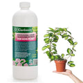 𝐏𝐑𝐎𝐅𝐄𝐒𝐒𝐈𝐎𝐍𝐀𝐋 Liquid Silica Plant Supplement - 32oz - Hoya Plants Liquid Silica Boost Fertilizer - Stronger Stems & Healthy Leaves for Indoor & Outdoor Hoya Plants (Makes 180 Gallons)