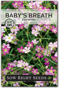 Sow Right Seeds - Carmine Baby's Breath Seeds for Planting - Non-GMO Heirloom Flower Variety - Easy to Grow Gypsophila - Ideal for Garden Borders and Bouquets - Attracts Butterflies (1)