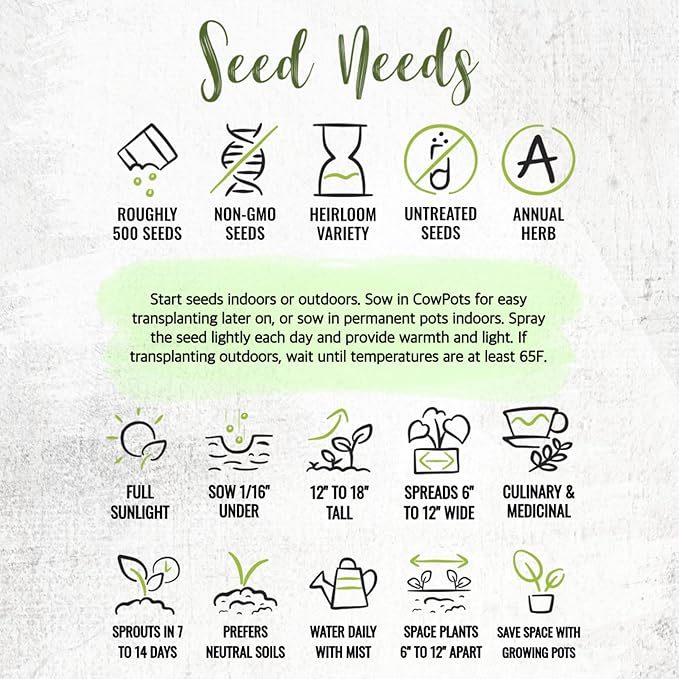 Seed Needs Summer Savory Seeds for Planting Herbs - Non-GMO Heirloom & Untreated Annual Herb Seed to Plant a Culinary Kitchen Garden Indoors or Outdoors (5 Packs)